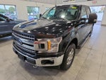2019 F-150 Thumbnail 1