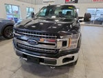 2019 F-150 Thumbnail 2