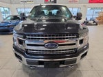 2019 F-150 Thumbnail 3