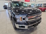 2019 F-150 Thumbnail 4