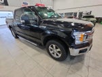 2019 F-150 Thumbnail 5