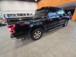 2019 F-150 Thumbnail 7