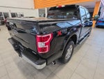 2019 F-150 Thumbnail 8