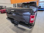 2019 F-150 Thumbnail 9