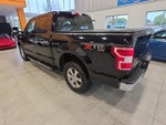 2019 F-150 Thumbnail 12
