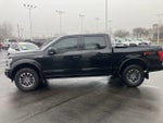 2019 F-150 Thumbnail 4