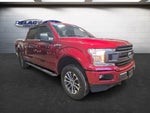 2019 F-150 Thumbnail 7