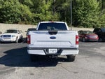 2019 F-150 Thumbnail 5