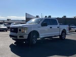 2019 F-150 Thumbnail 8
