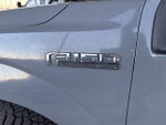 2019 F-150 Thumbnail 8