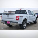 2019 F-150 Thumbnail 4