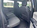 2019 F-150 Thumbnail 19