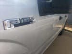 2019 F-150 Thumbnail 3