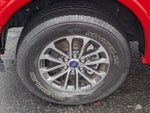 2020 F-150 Thumbnail 24