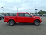 2020 F-150 Thumbnail 7
