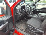 2020 F-150 Thumbnail 10