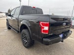 2020 F-150 Thumbnail 7