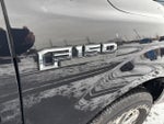 2020 F-150 Thumbnail 5