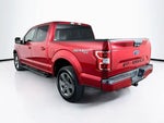 2020 F-150 Thumbnail 3