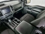 2020 F-150 Thumbnail 10
