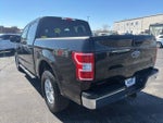 2020 F-150 Thumbnail 3