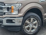 2020 F-150 Thumbnail 3