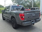 2021 F-150 Thumbnail 5