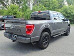 2021 F-150 Thumbnail 8