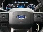 2021 F-150 Thumbnail 11