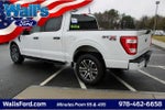 2021 F-150 Thumbnail 11