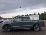 2021 F-150 Thumbnail 8