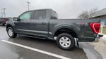 2021 F-150 Thumbnail 4