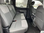 2021 F-150 Thumbnail 20