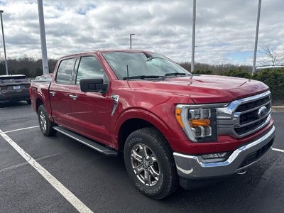 2021 Ford F-150 4X4 XL 4DR Supercrew 5.5 FT. SB