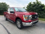 2021 F-150 Thumbnail 1