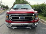 2021 F-150 Thumbnail 3