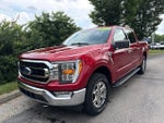 2021 F-150 Thumbnail 4