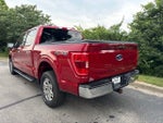 2021 F-150 Thumbnail 6