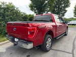 2021 F-150 Thumbnail 8
