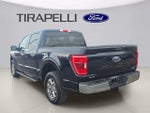 2021 F-150 Thumbnail 2