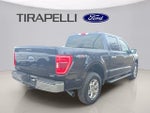 2021 F-150 Thumbnail 7