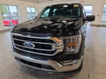 2021 F-150 Thumbnail 2