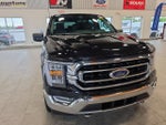2021 F-150 Thumbnail 4