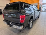 2021 F-150 Thumbnail 12
