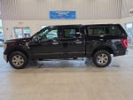 2021 F-150 Thumbnail 15