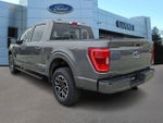 2021 F-150 Thumbnail 4