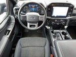 2021 F-150 Thumbnail 11