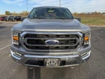 2021 F-150 Thumbnail 2