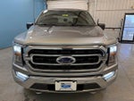 2021 F-150 Thumbnail 3