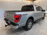 2021 F-150 Thumbnail 7